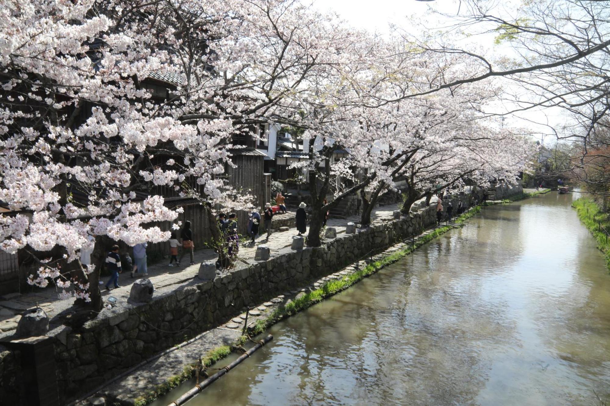 Ekimae Apartment *